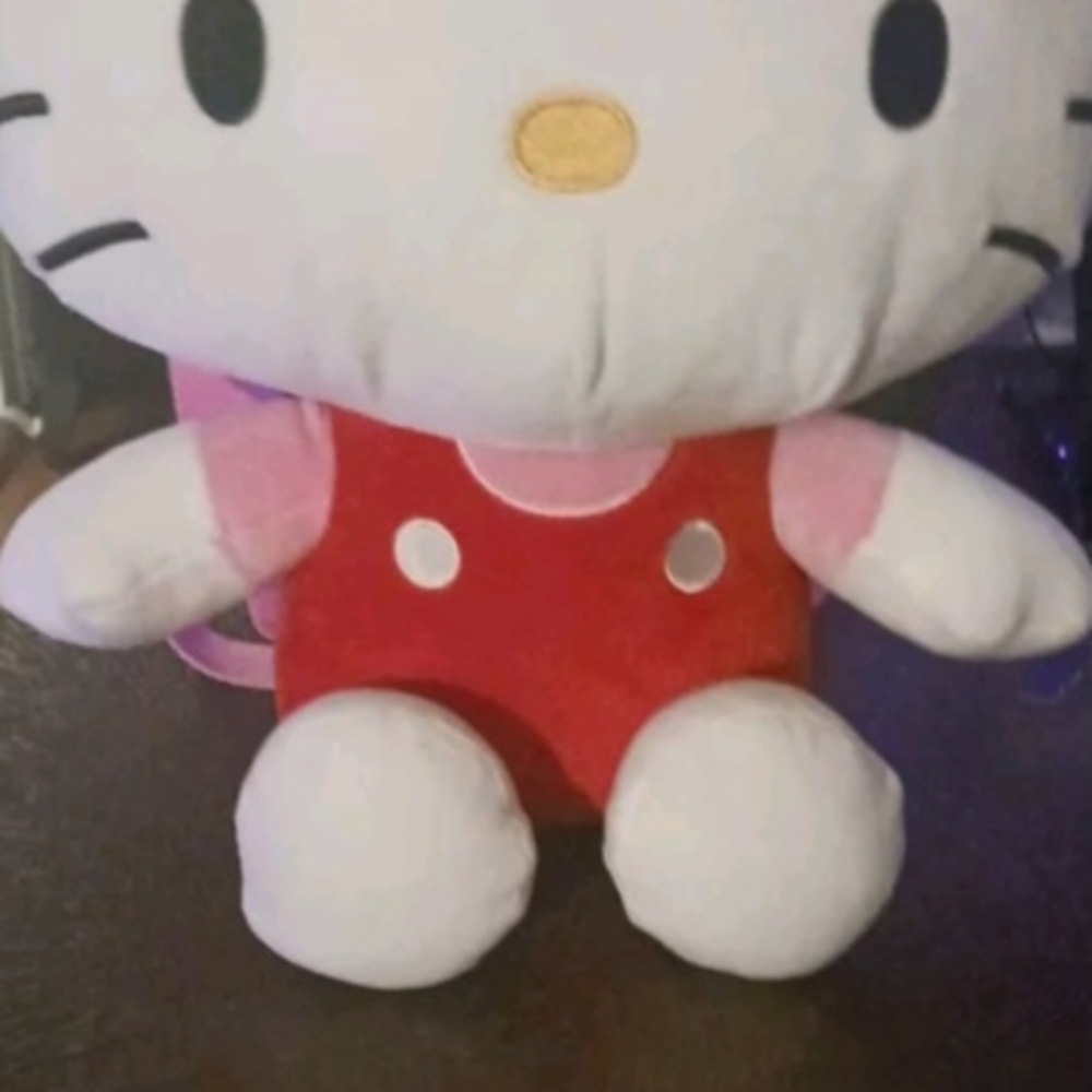 Hello Kitty Plush Toy Backpack.